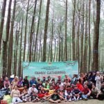 Sulsel